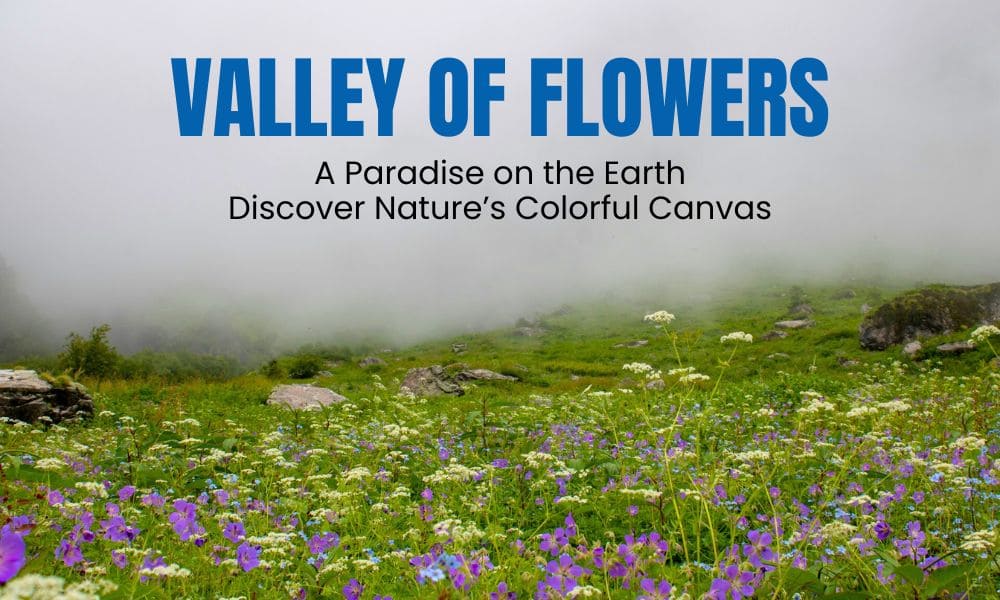 Valley of Flowers: A Paradise on the Earth