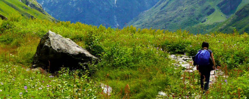 Valley of Flowers Trek