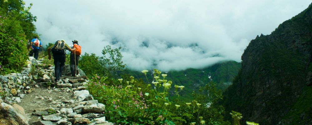 Valley of Flowers Trek