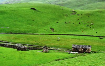 Ali Bedni Bugyal Trek